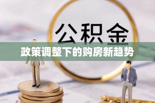 西双版纳政策调整下的购房新趋势