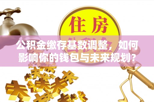 西双版纳公积金缴存基数调整，如何影响你的钱包与未来规划？
