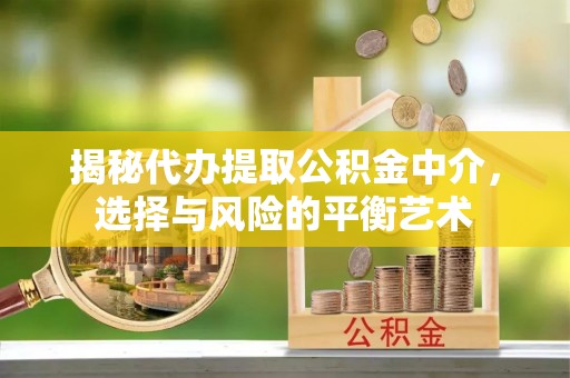 西双版纳揭秘代办提取公积金中介，选择与风险的平衡艺术