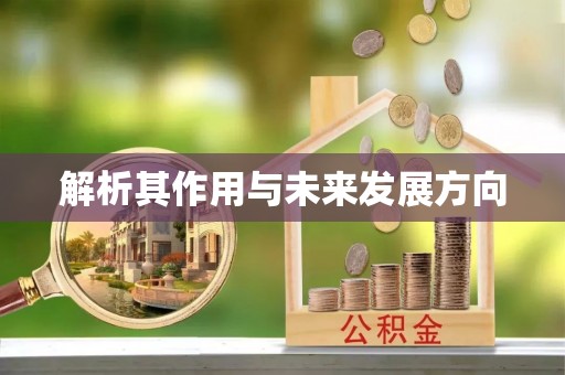 西双版纳解析其作用与未来发展方向