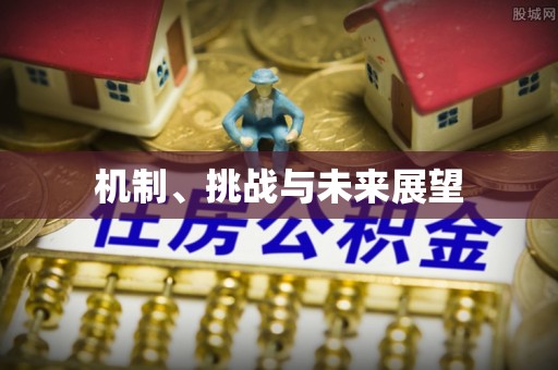 西双版纳机制、挑战与未来展望